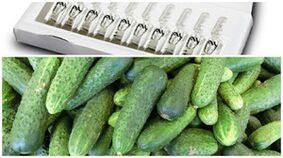 Receitas de máscaras para o rexuvenecemento da pel das mans